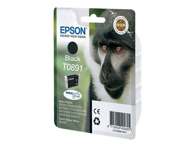 Bläckpatroner Epson C13T08914011 Svart